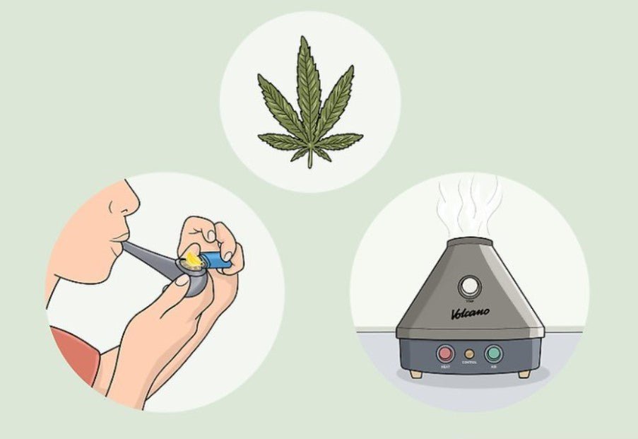 A Comprehensive Guide to the Various Methods of Using Cannabis and Their Effects on the Body - Oil Slick