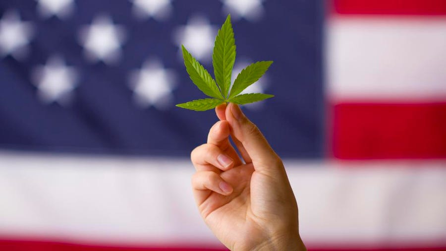Breaking News: These States Are One Step Closer to Legalizing Marijuana in 2023! - Oil Slick