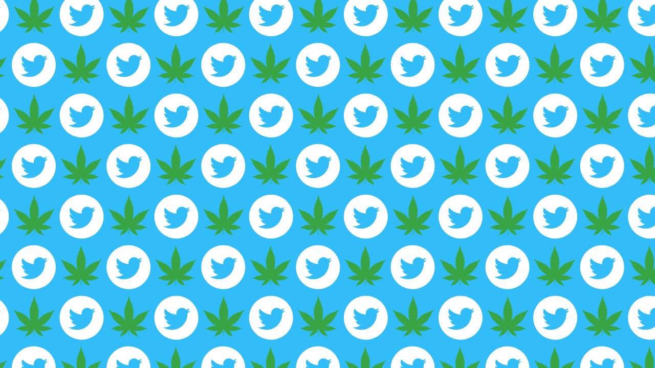 How Twitter’s New Policy Boosts Cannabis Marketing Opportunities! - Oil Slick