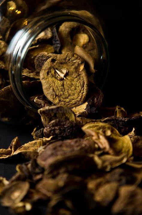 Securing Your Magic Mushrooms: Why Oil Slick's 3oz and 5oz Glass Jars are a Game Changer - Oil Slick