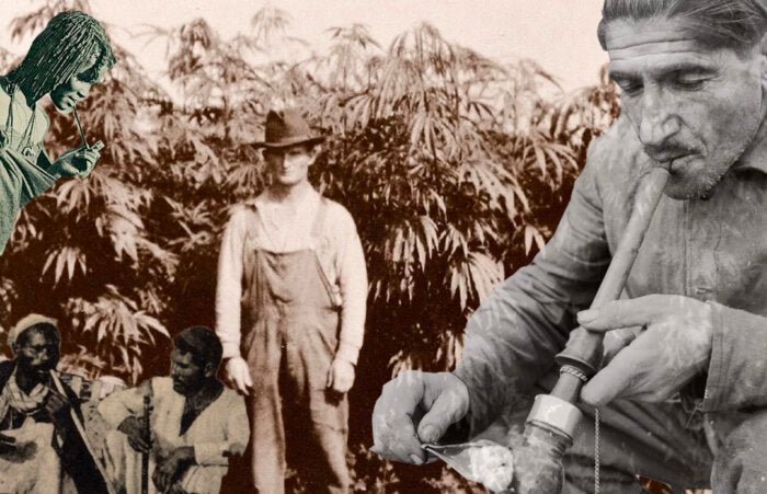 The Fascinating History of Cannabis Around the World - Oil Slick