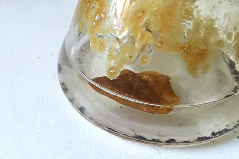 The Ultimate Guide to Reclaim: Carcinogens, Cooking, and High THCA Content - Oil Slick