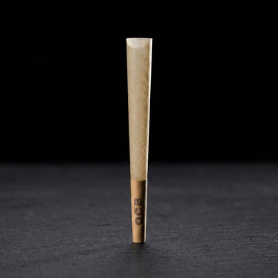 OCB Bamboo 1 ¼ Cones 50 Count Tower — Oil Slick editorial product photo