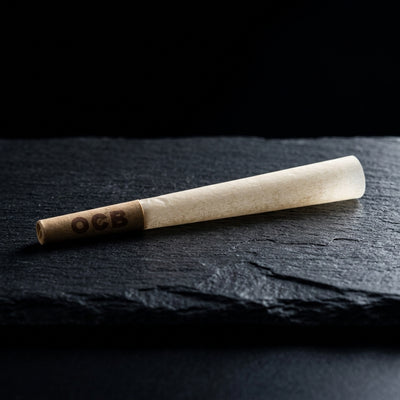 OCB Unbleached 1 ¼ Cones 100 Count Tower — Oil Slick editorial product photo