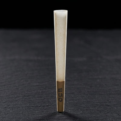 OCB Organic Hemp 1 ¼ Cones 100 Count Tower — Oil Slick editorial product photo