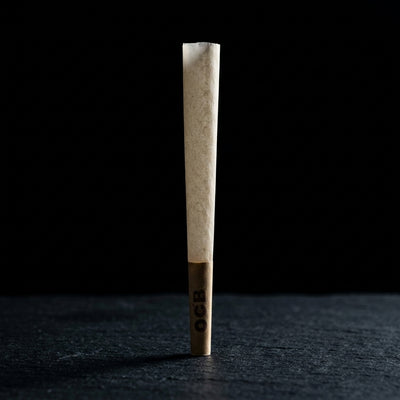 OCB Bamboo 1 ¼ Cones  - 6 Count / 24 Packs — Oil Slick editorial product photo