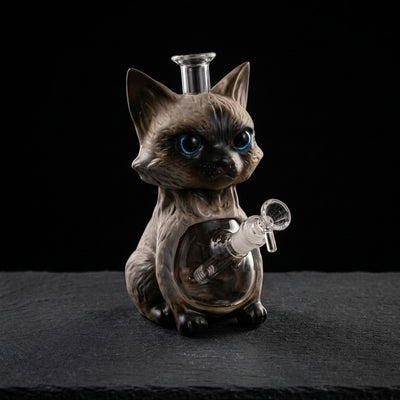 9.4" Siamese cat water pipe on dark slate surface - Oil Slick Pad