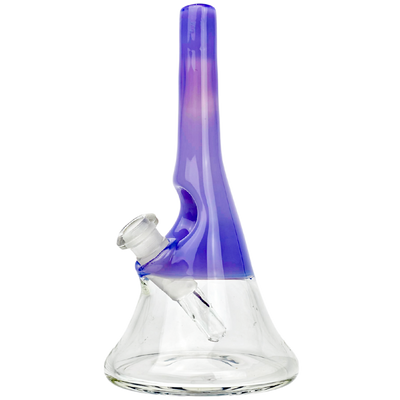 6.5" Costa Glass Two-Tone Flask Rig