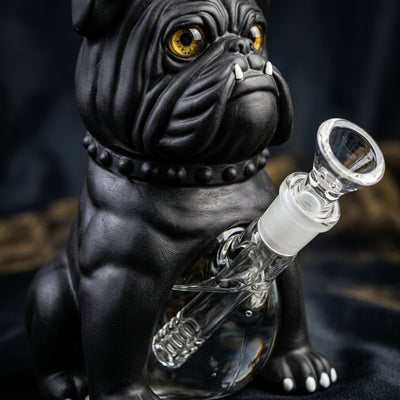 8.6'' Black Bulldog water pipe - alternate angle