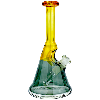 6.5" Costa Glass Two-Tone Flask Rig