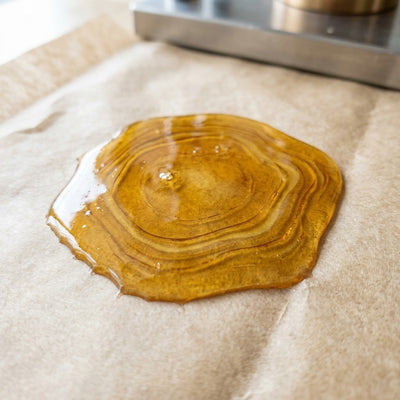 Oil Slick Paper - Close-up of freshly pressed rosin with terpene rings on parchment